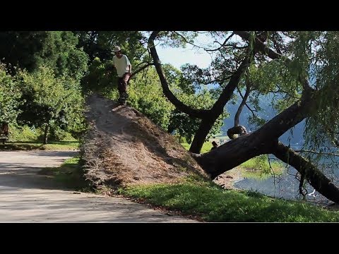 Skate & Nature SKY