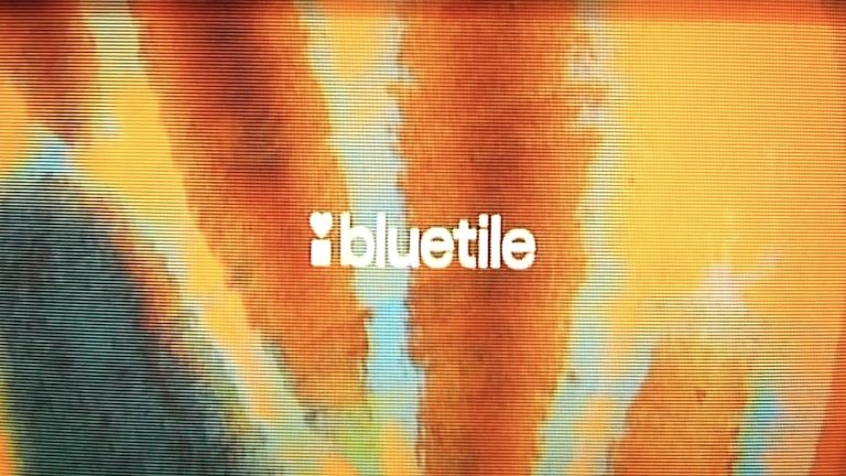 Nike SB Bluetile Skateboards